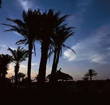 Aparthotel Aluasun Mediterraneo 3*